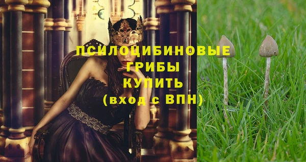 скорость Заводоуковск