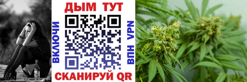 где купить наркоту  Петухово  площадка телеграм  Каннабис Ganja 